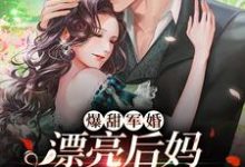 南漾陆忱宴的故事在哪本书里?免费阅读爆甜军婚,漂亮后妈在九零赢麻了-经典文学