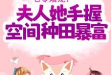 男女主人公傅晓沈轻舟小说七零婚宠！夫人她手握空间种田暴富章节免费阅读-经典文学