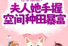 小说《七零婚宠!夫人她手握空间种田暴富》在线章节阅读-经典文学