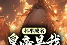 科举成名,皇帝是我死忠粉?小说有没有完结版在线?-经典文学