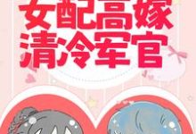 已完结小说《军婚撩人：倒霉女配高嫁清冷军官》最新章节-经典文学