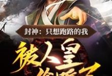 殷泽邓婵玉为主角的小说好看吗？免费读穿成纣王儿子后，我跑不掉了-经典文学