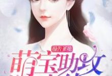报告爹地：萌宝助攻已上线小说全文哪里可以免费看？-经典文学