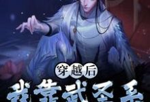 穿越后，我靠武圣系统一统江山小说完结版章节免费阅读-经典文学
