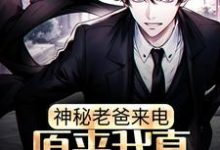 免费在线阅读神秘老爸来电,原来我真是富二代小说的正规网站有哪些?-经典文学