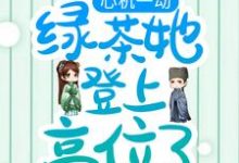 求心机一动，绿茶她登上高位了小说的全文免费阅读链接-经典文学