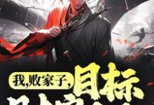林孤鸿是哪本书的主角?寻找我,败家子,目标财富自由免费阅读-经典文学