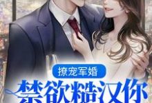 求撩宠军婚,禁欲糙汉你不要太宠她!小说免费资源-经典文学