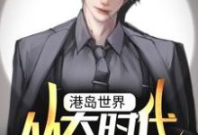 《港岛世界:从大时代开始》小说大结局免费试读 何文耀小说-经典文学
