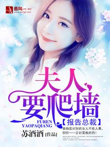 黎苏皖傅斯年安以陌小说叫什么（报告总裁：夫人要爬墙免费阅读）