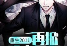 小说《重生2011:再掀股市风云》章节免费阅读-经典文学