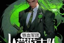 寻找铁血军团,从带游击队打仗开始小说的最新更新章节-经典文学