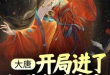 杨华是哪本书的主角？寻找大唐：开局进了长孙皇后寝宫免费阅读-经典文学