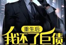 已完结小说《重生后,我还了巨债追回前妻》在线章节阅读-经典文学