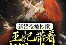 新婚夜被抄家,王妃带着空间入皇宫苏云宛秦君屹在线章节免费阅读-经典文学