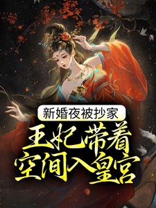 新婚夜被抄家，王妃带着空间入皇宫苏云宛秦君屹在线章节免费阅读