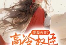 完结版《宠妾灭妻?高冷权臣他以妾为妻》免费阅读-经典文学