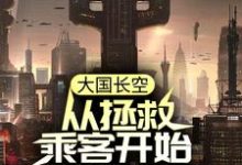 完整版的大国长空：从拯救乘客开始到战斗机小说在哪里可以免费读到？-经典文学