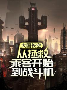 完整版的大国长空：从拯救乘客开始到战斗机小说在哪里可以免费读到？