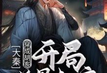 大秦:穿成胡亥,开局逆骨赵高免费阅读,大秦:穿成胡亥,开局逆骨赵高 胡亥嬴政-经典文学