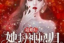 退婚后,她封神回归惊艳全世界小说的无弹窗阅读体验,寻找免费阅读网站-经典文学