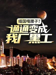 缅国嘎腰子？通通变成我厂黑工！小说，缅国嘎腰子？通通变成我厂黑工！免费阅读