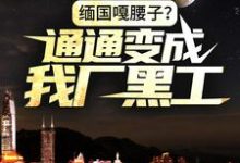 想读周木的故事,哪里可以免费找到缅国嘎腰子?通通变成我厂黑工!?-经典文学