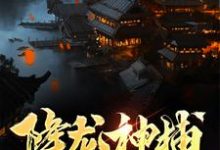 陆凡小说叫什么（降龙神捕免费阅读）-经典文学