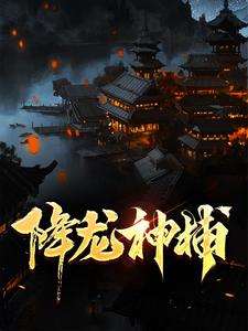 陆凡小说叫什么（降龙神捕免费阅读）