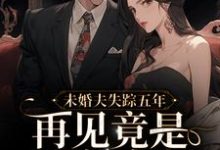 主角沈观南孟念一小说完结版在线阅读,未婚夫失踪五年:再见竟是别人丈夫免费看-经典文学