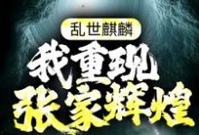 乱世麒麟：我重现张家辉煌张起灵盗墓小说免费阅读-经典文学