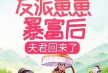 带着五个反派崽崽暴富后，夫君回来了（叶枝枝萧景珩）在线免费阅读-经典文学