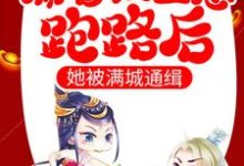 揣着权臣崽跑路后,她被满城通缉小说完结版章节免费阅读-经典文学