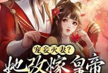男女主人公萧痕云卿小说宠妾灭妻？她改嫁皇帝生皇子章节免费阅读-经典文学