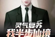 主人公叫张太初的小说灵气复苏：我半步仙境成了人间第一在线阅读章节-经典文学