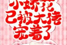 纪挽眉雷霆军小说在线章节免费阅读(渣男别看了,小娇花已被大佬宠着了无弹窗无删减)-经典文学