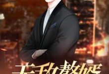 无敌赘婿小说最新更新在哪里？免费在线看-经典文学