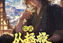 综武：从拯救殷素素开始小说完结版章节免费阅读-经典文学