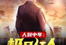 哪里能找到人到中年：极品红人小说的最新更新和免费章节？-经典文学
