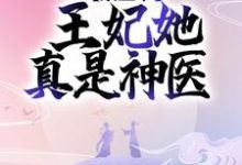 凤倾华战北霄小说在哪里可以看-经典文学