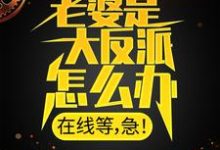 老婆是大反派怎么办，在线等，急！小说阅读，老婆是大反派怎么办，在线等，急！完结版-经典文学