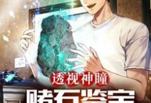 透视神瞳：赌石鉴宝财色双收小说无弹窗阅读的网站推荐-经典文学