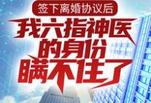 签下离婚协议后,我六指神医的身份瞒不住了小说,签下离婚协议后,我六指神医的身份瞒不住了免费阅读-经典文学