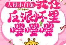 主角叫江御南初小说人设小白兔,我在反派怀里嘤嘤嘤!章节免费阅读-经典文学