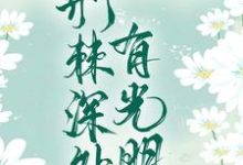 男女主人公叫薛澜清龙慕渊的小说免费资源-经典文学