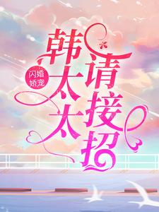 寻找闪婚娇宠：韩太太请接招小说的最新更新章节