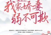 林姝 陆靖然为主角的小说好看吗?免费读重生之我家娇妻弱不可欺-经典文学