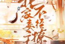 我家妻主不经撩宋云舒江述白,我家妻主不经撩最新章节-经典文学