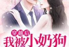 主角高秋谨叶安怀小说穿越后，我被小奶狗缠上了免费阅读-经典文学