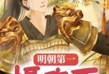 已完结小说《明朝第一摄政王》最新章节-经典文学